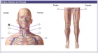 Image cliquable simple